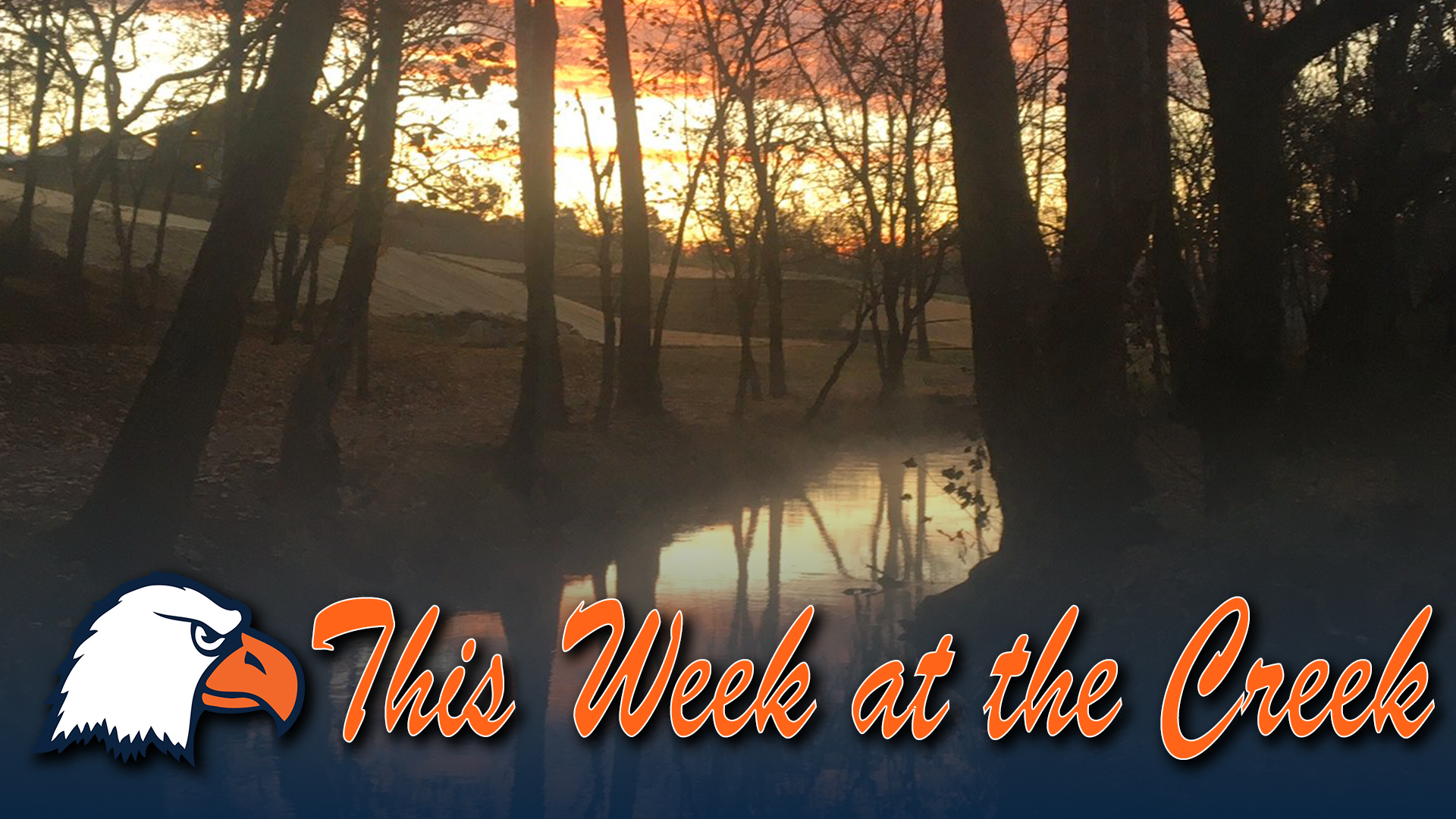 This Week at the Creek 11-9-20