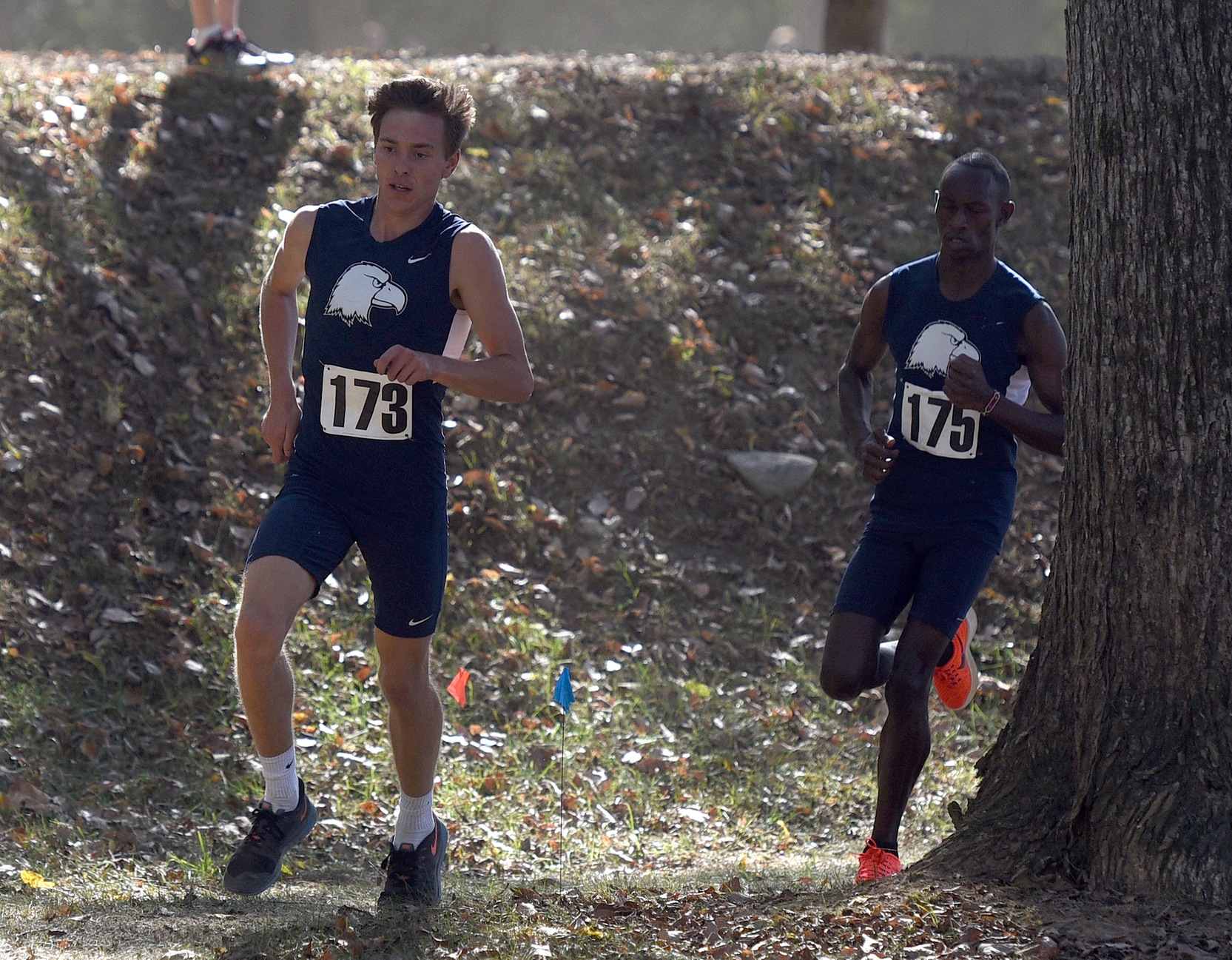 Eagles ready to race in the South Atlantic Conference Championships