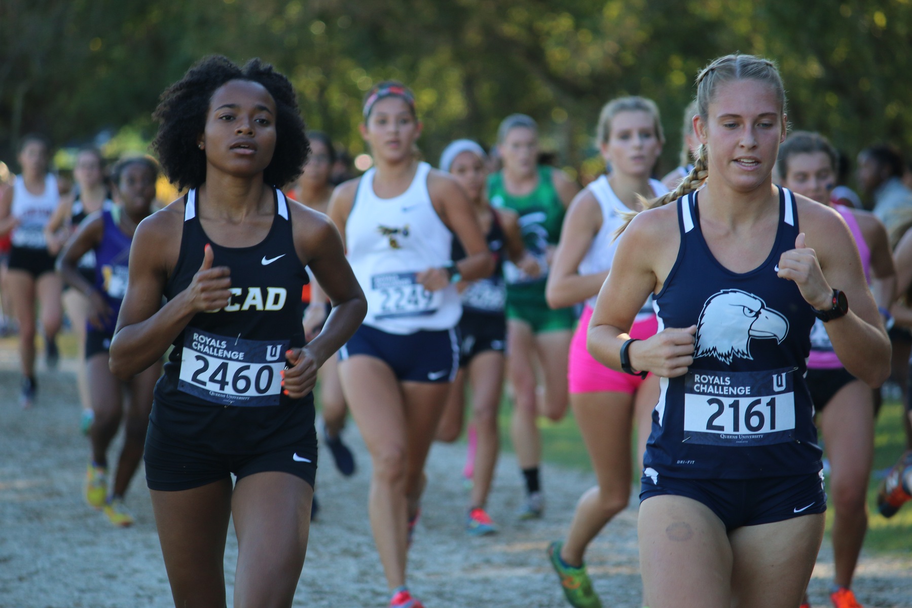 Eagles begin a new season and new era at Lenoir-Rhyne