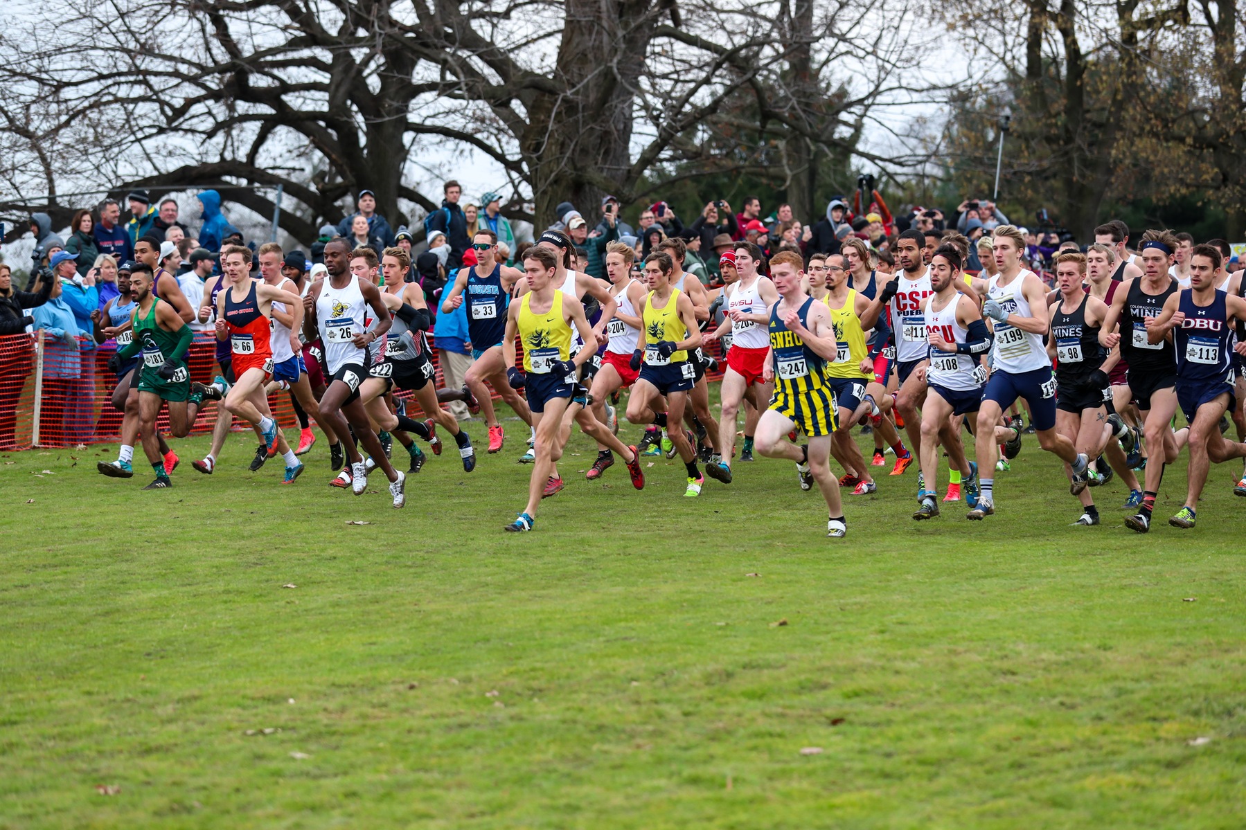 Strayer and McCambridge lead young Eagles into Wingate Invitational