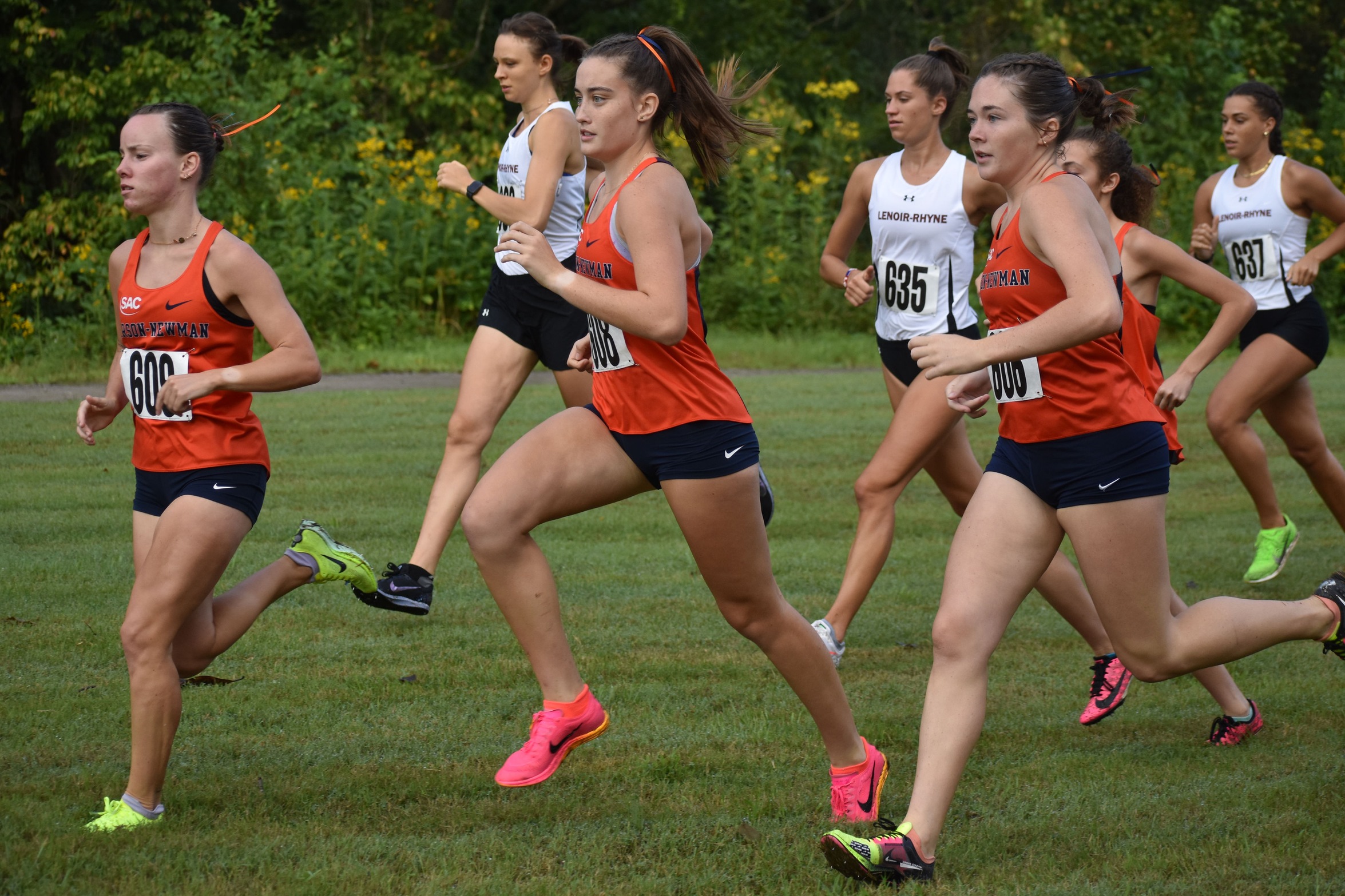 Eagles' Cross-Country Teams Turn in Another Impressive Finish at UNG Invitational