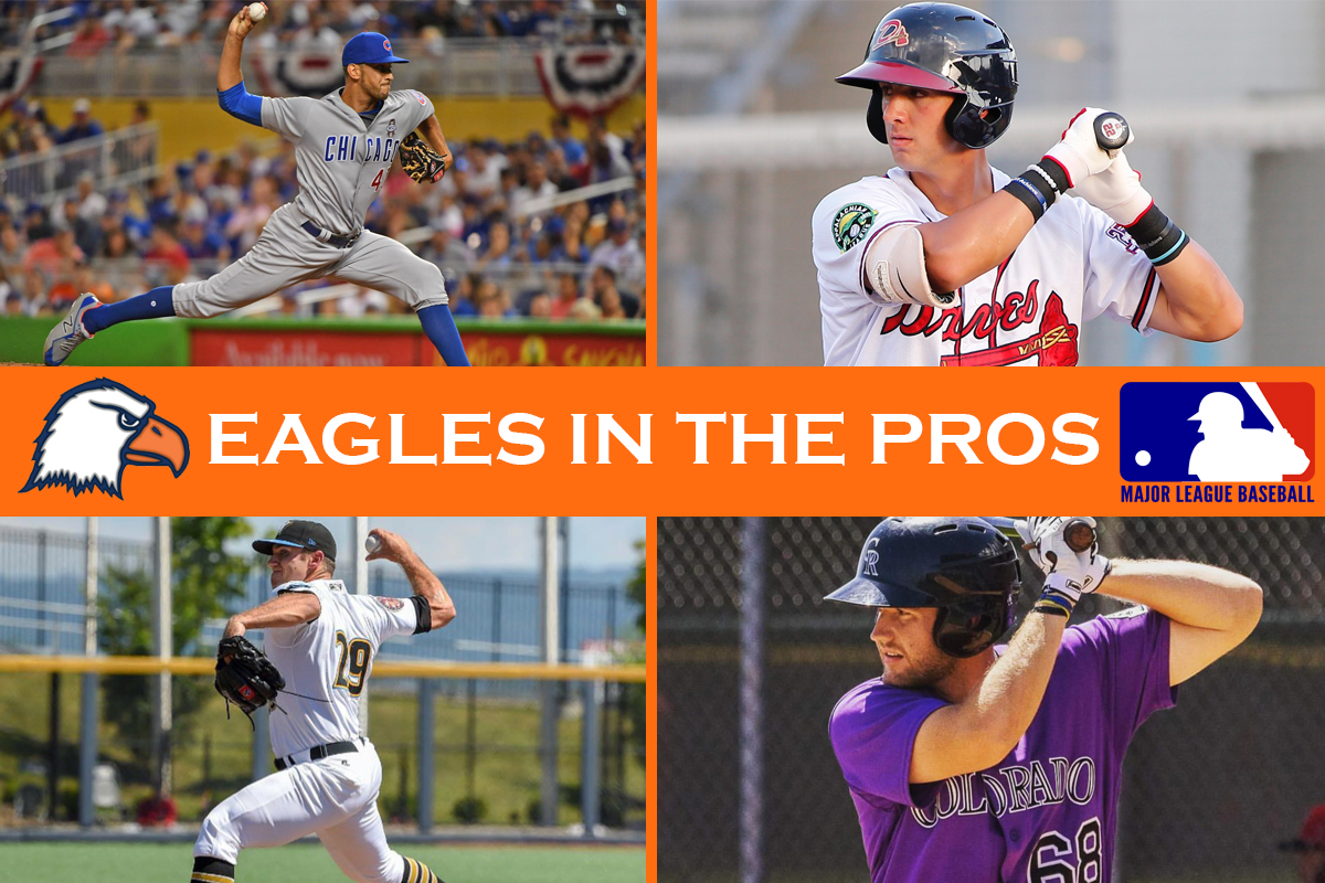 Eagles in the Pros: Regular Season Update