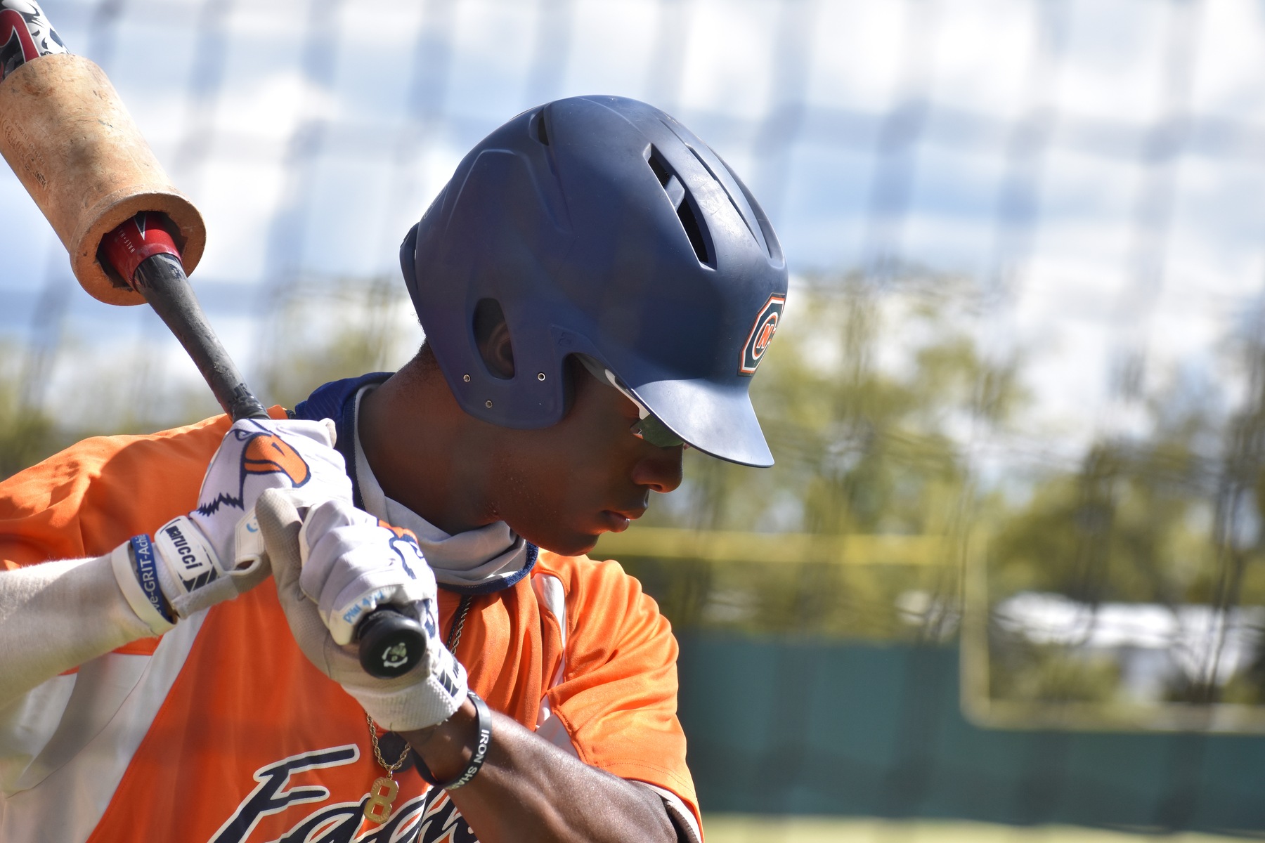 Carson-Newman Baseball Outfielders Position Preview
