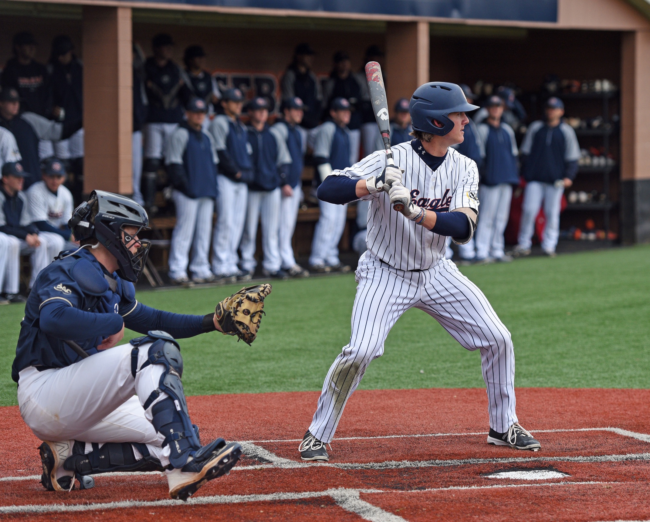 Carson-Newman Baseball Outfielders Position Preview