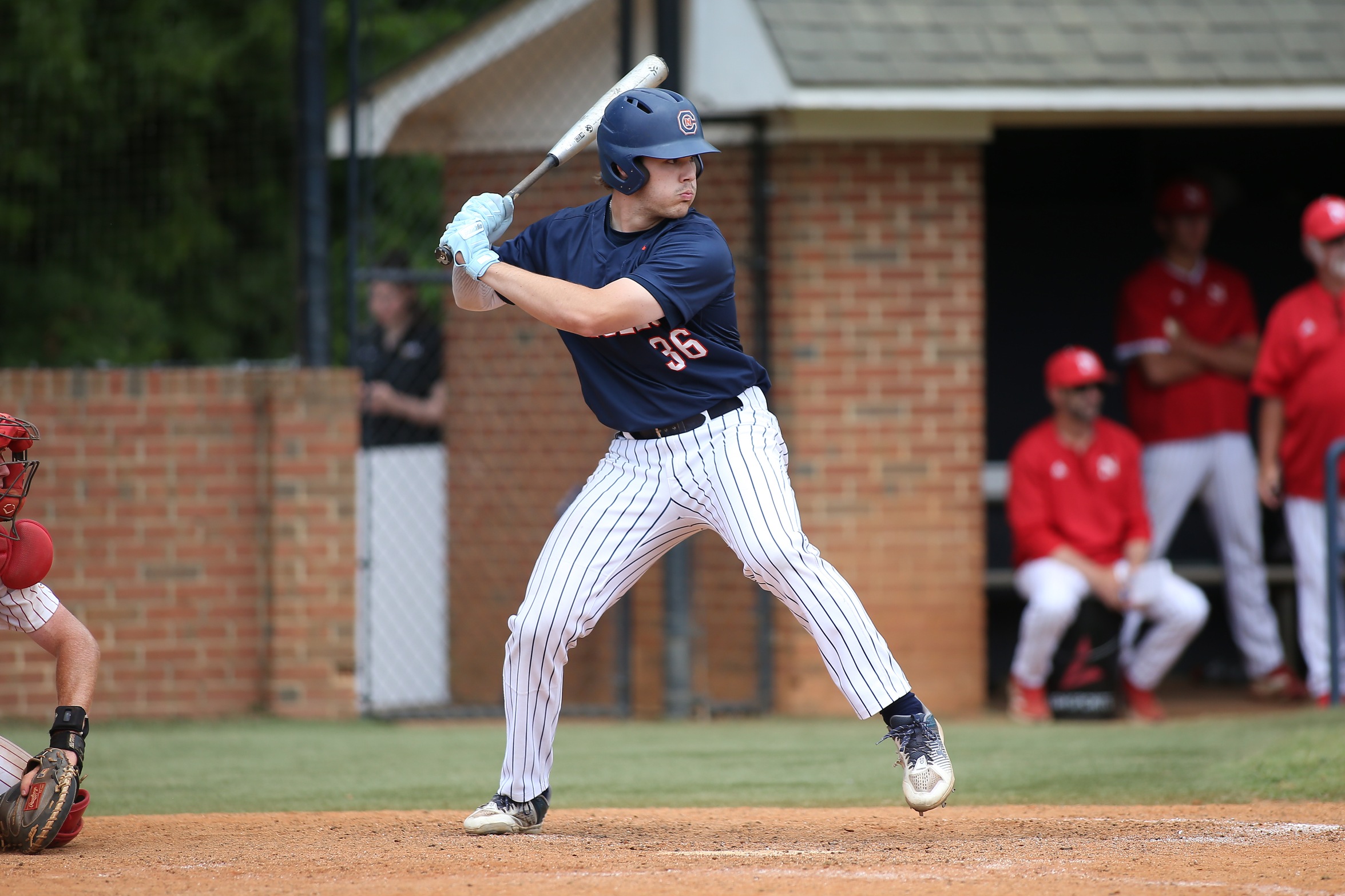 Carson-Newman Baseball Position Previews: Infielders