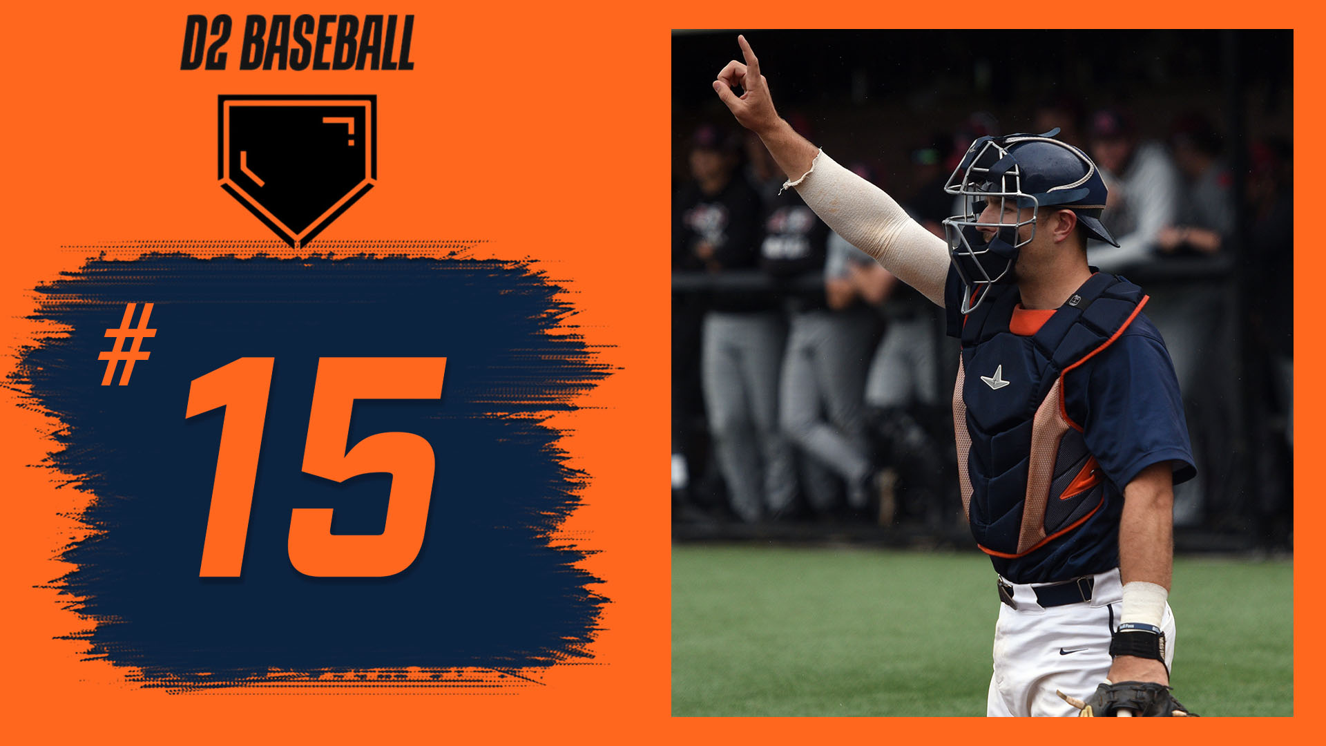 C-N jumps to No. 15 in DII Baseball poll