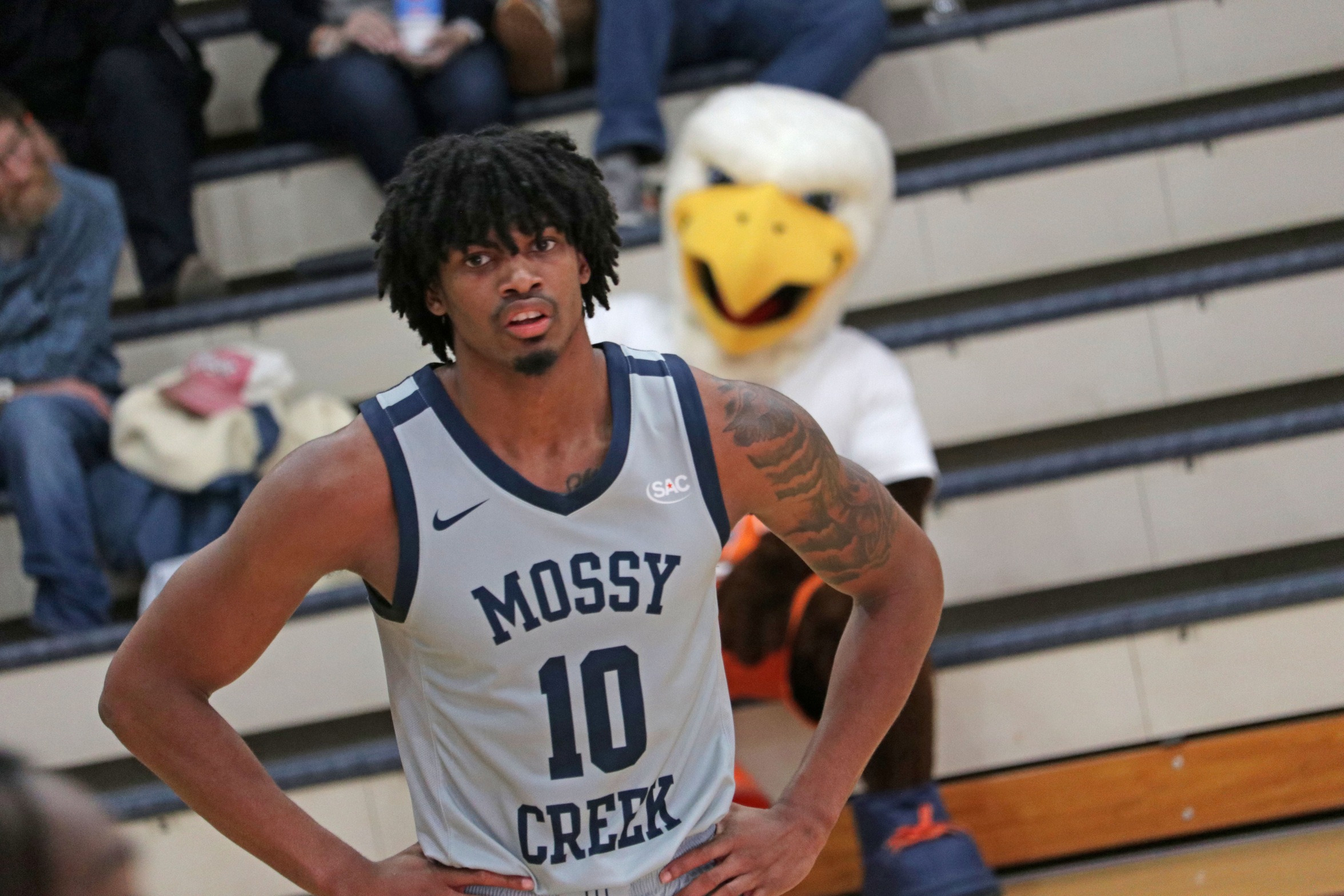 Efficient offense, dominant defense carry Carson-Newman to fifth straight home win
