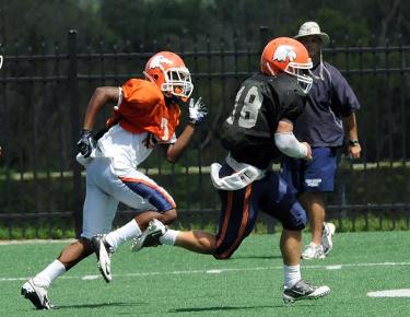 Goose runs loose in football scrimmage