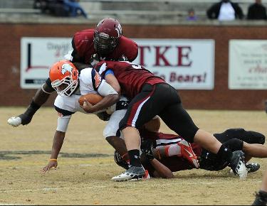 Bears maul Eagles 37-3