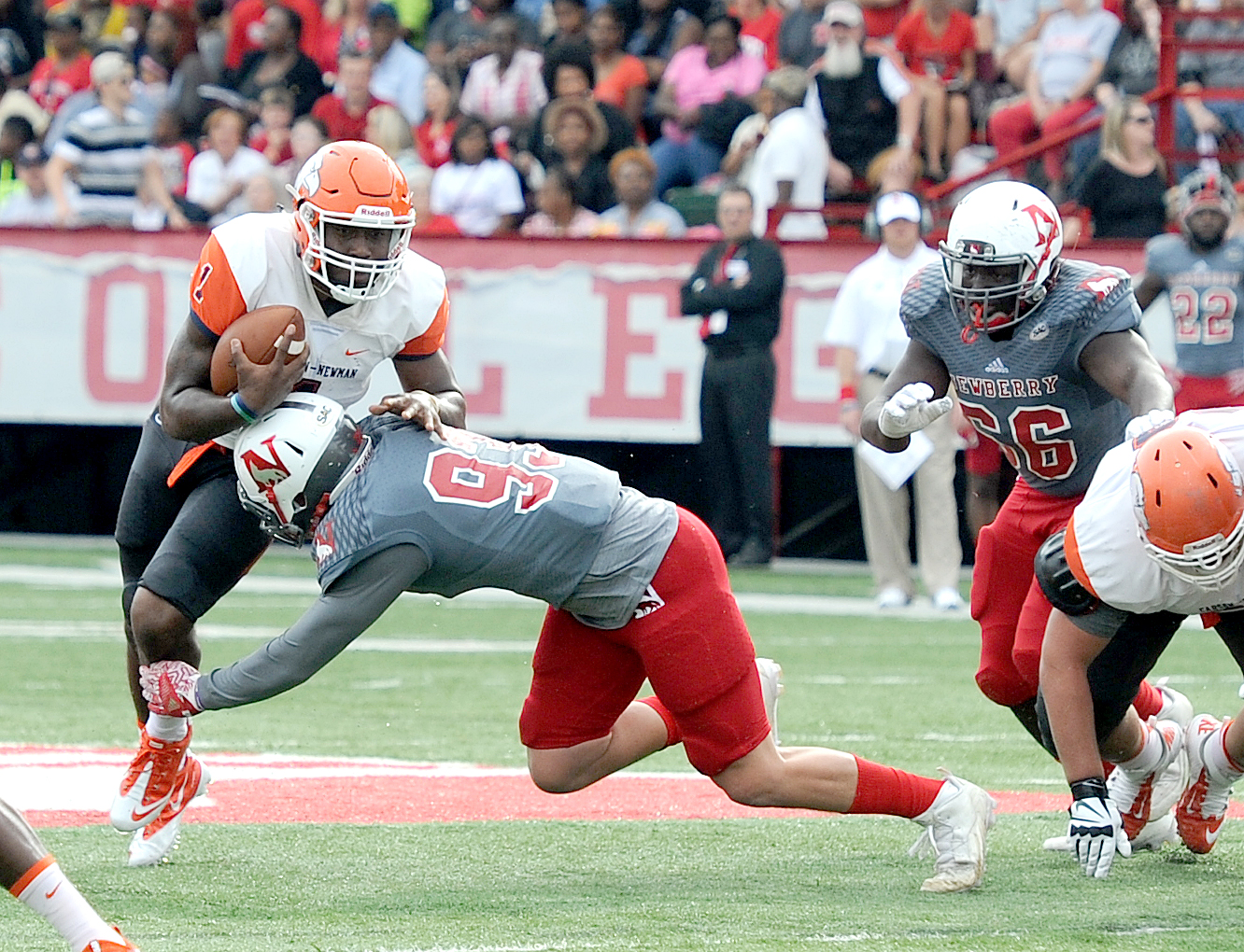 Newberry sacks C-N 34-19