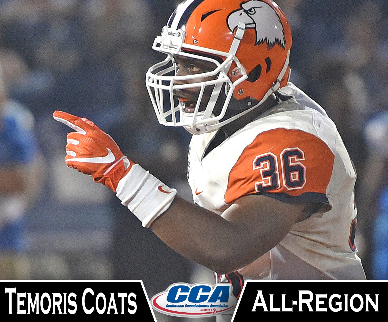 Three Eagles garner All-Region honors from D2CCA