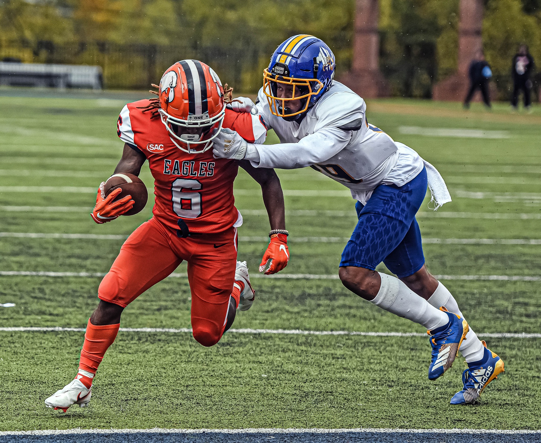 Carson-Newman Football Position Previews: The Running Backs
