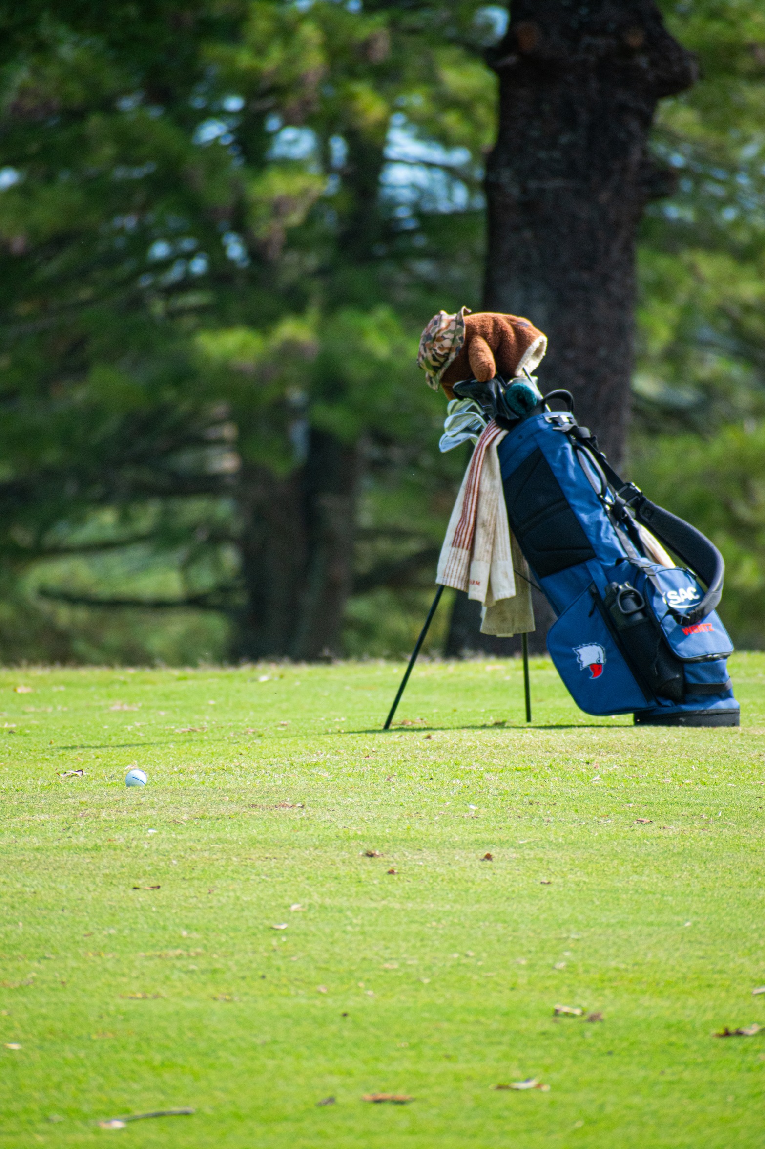 Midseason Midwest trip for men&rsquo;s golf will set the stage for rankings in mid-October
