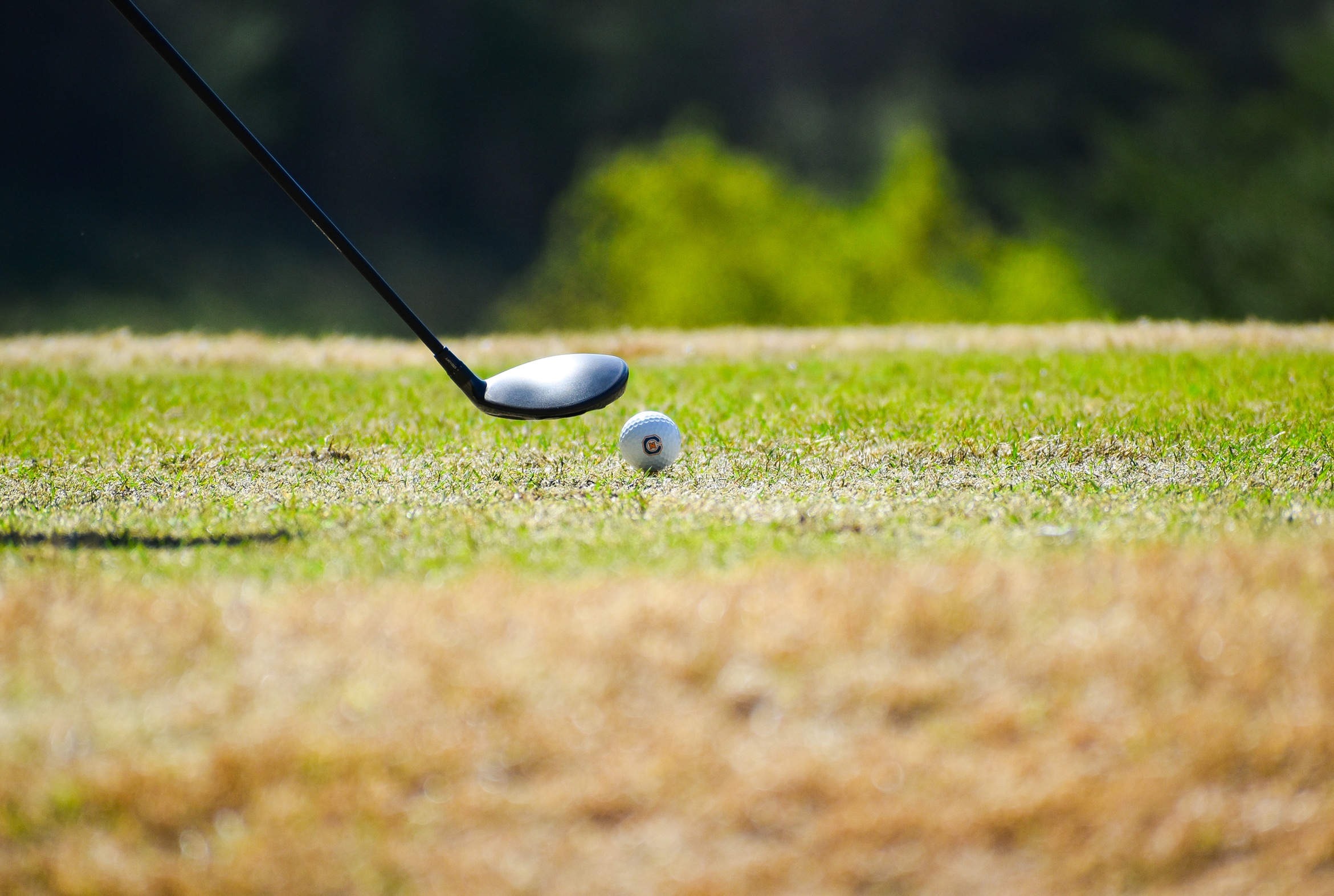 Carson-Newman Athletics, Eagle Club set summer golf tour through East Tennessee&nbsp;