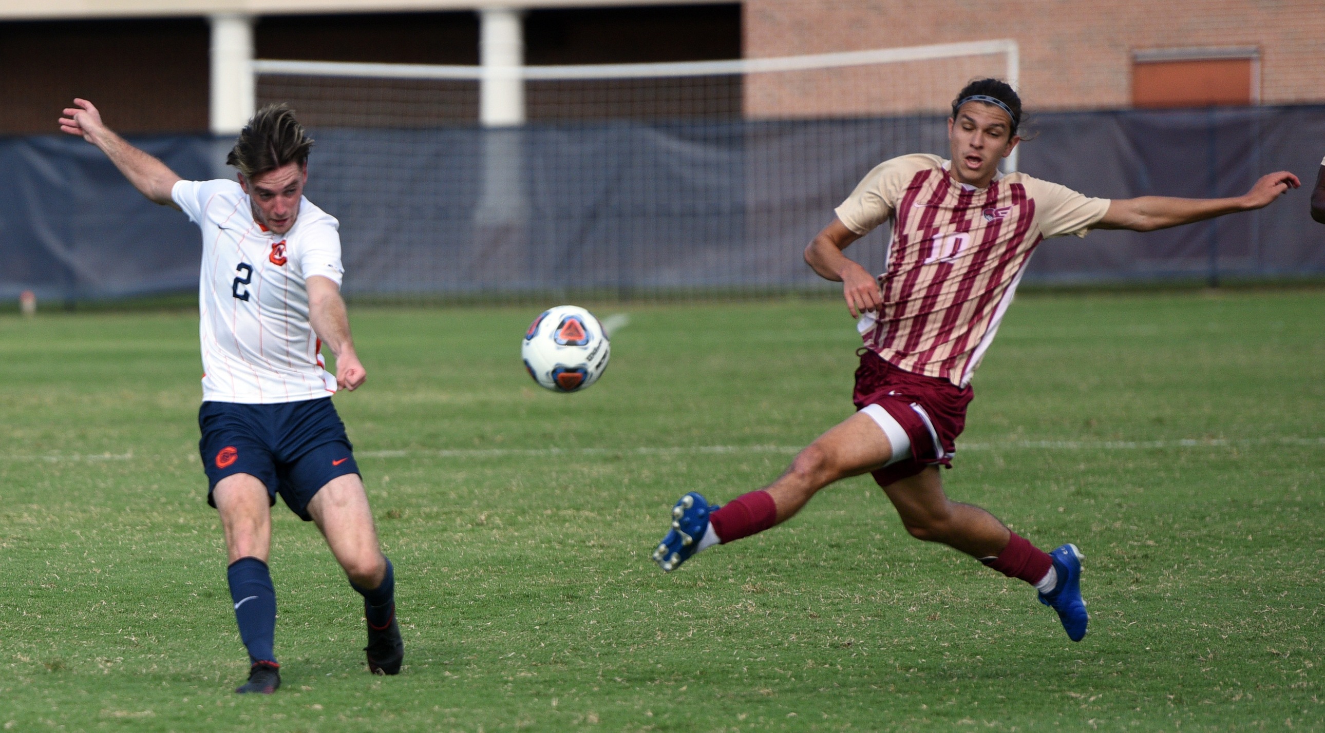 King, Vercelli lead Eagles in win over Bulldogs