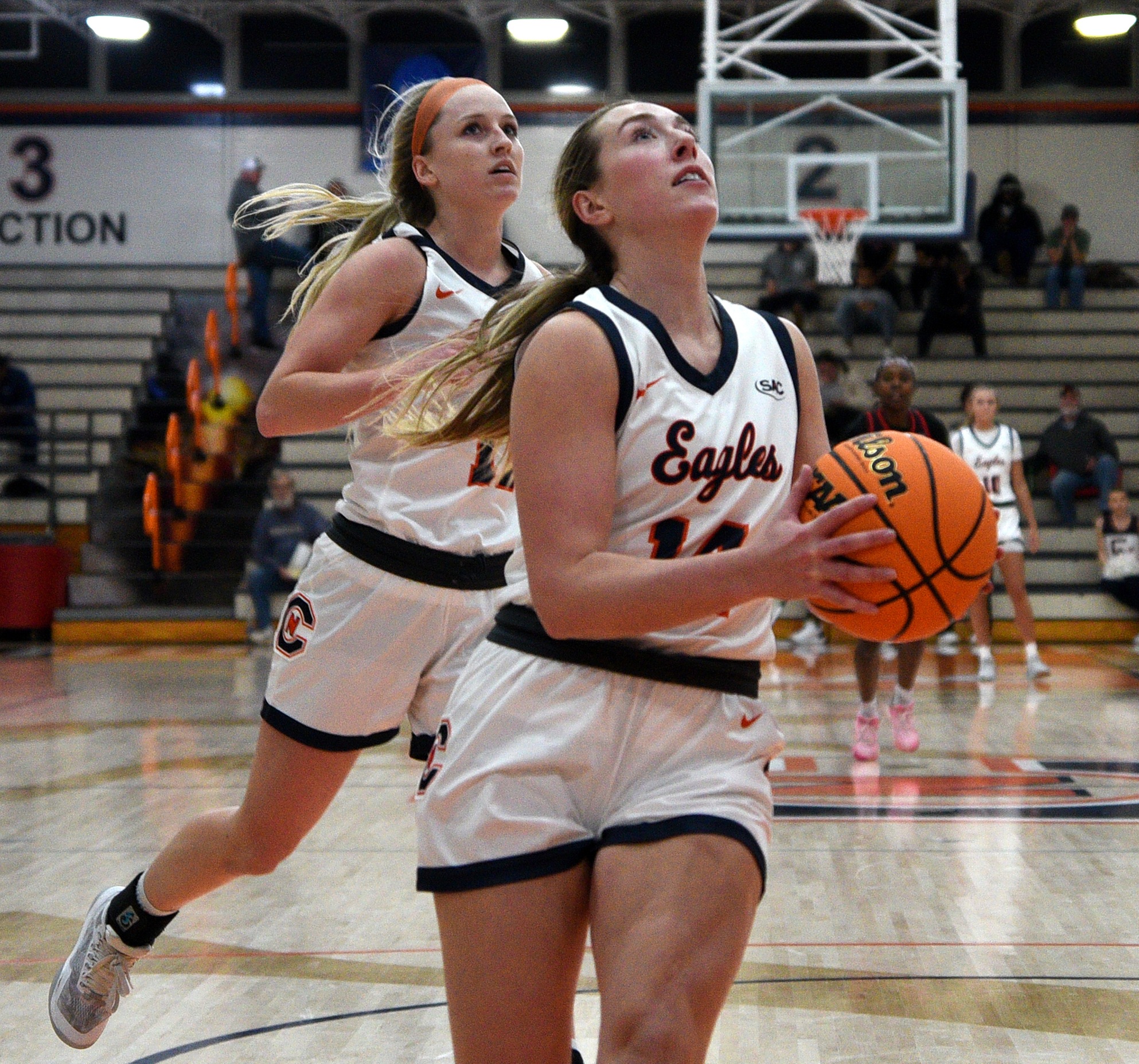 Lady Eagles go for revenge on Cobras