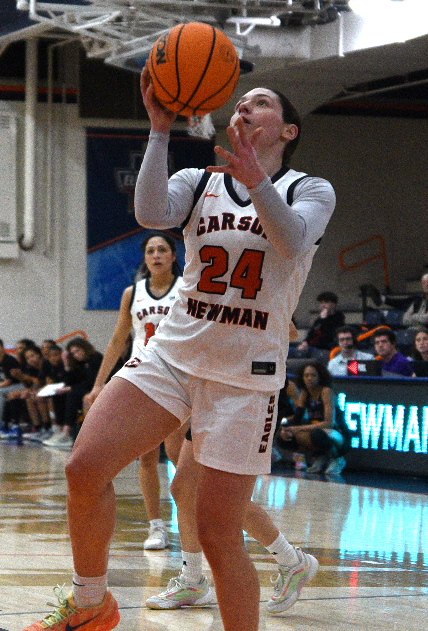 Lady Eagles open SAC Tournament with quarterfinal date against UVA Wise