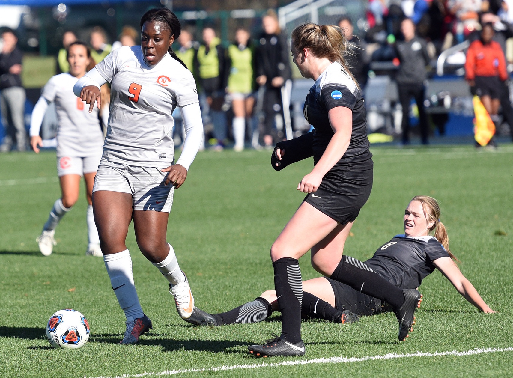 Fall Frosty Awards Nominees: Female Performance of the Year