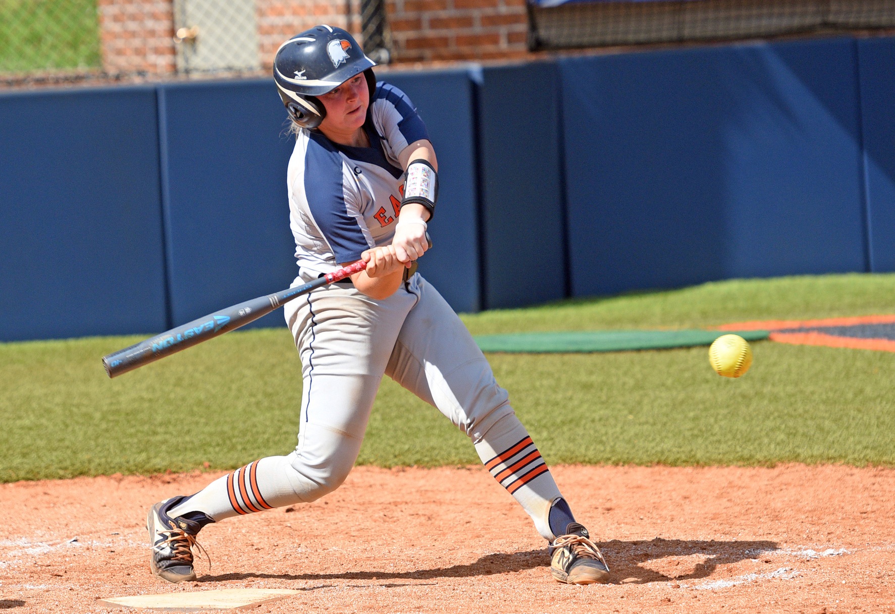 C-N splits pair of wild ones against Young Harris, Erskine