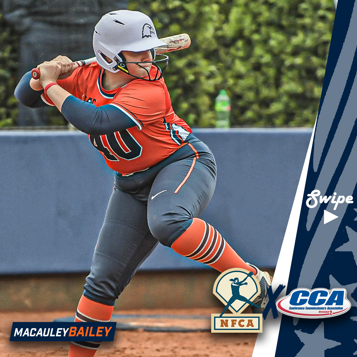 CONSENSUS ALL-AMERICAN! Bailey recognized by NFCA and D2CCA