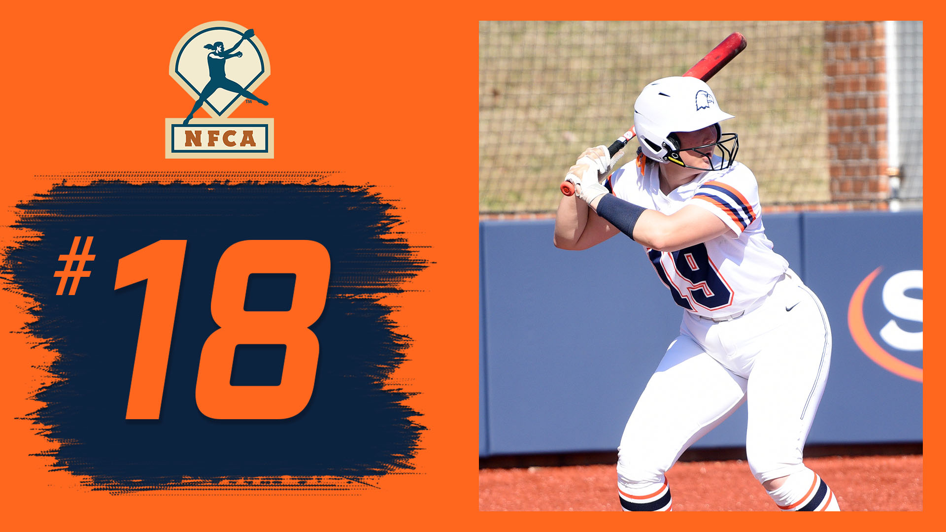 Carson-Newman climbs to No. 18 in most recent NFCA Poll