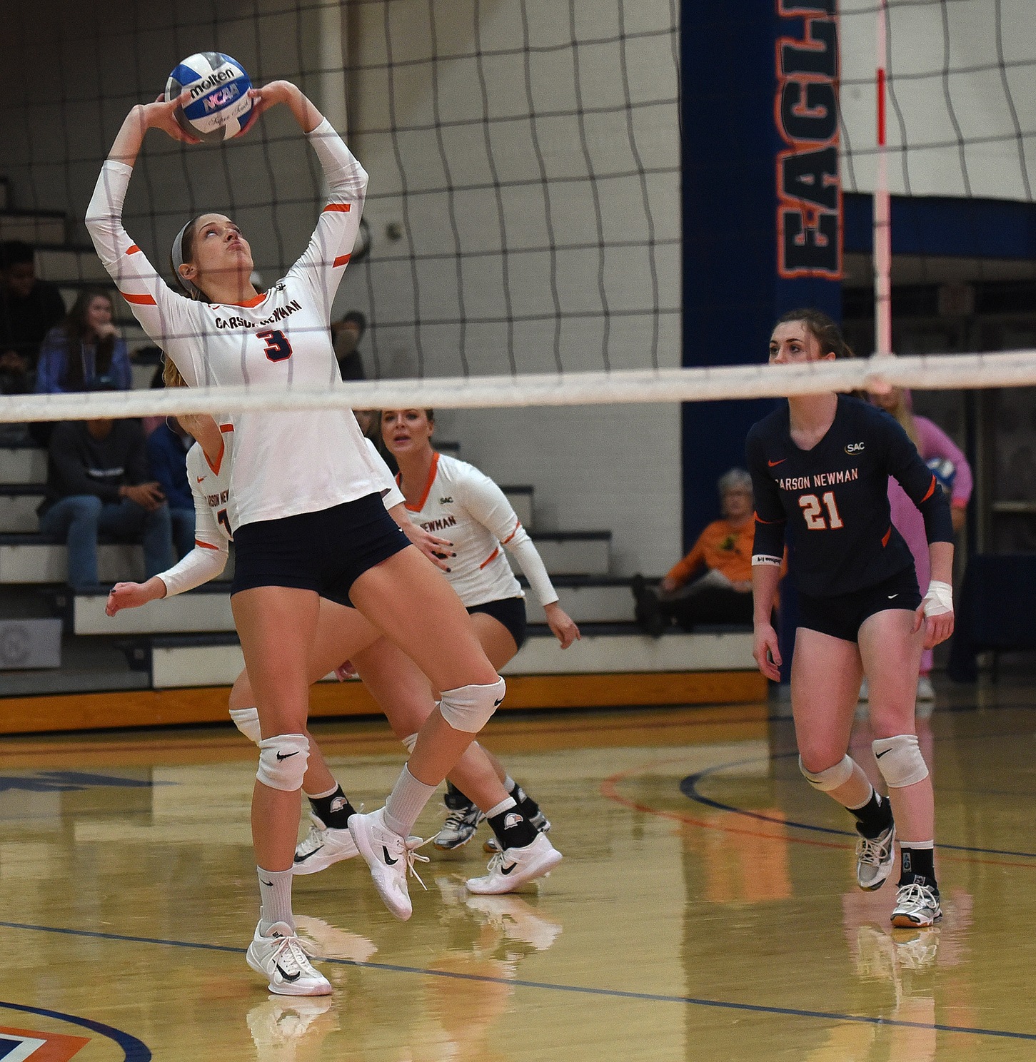 Trio shines but Bulldogs top Eagles