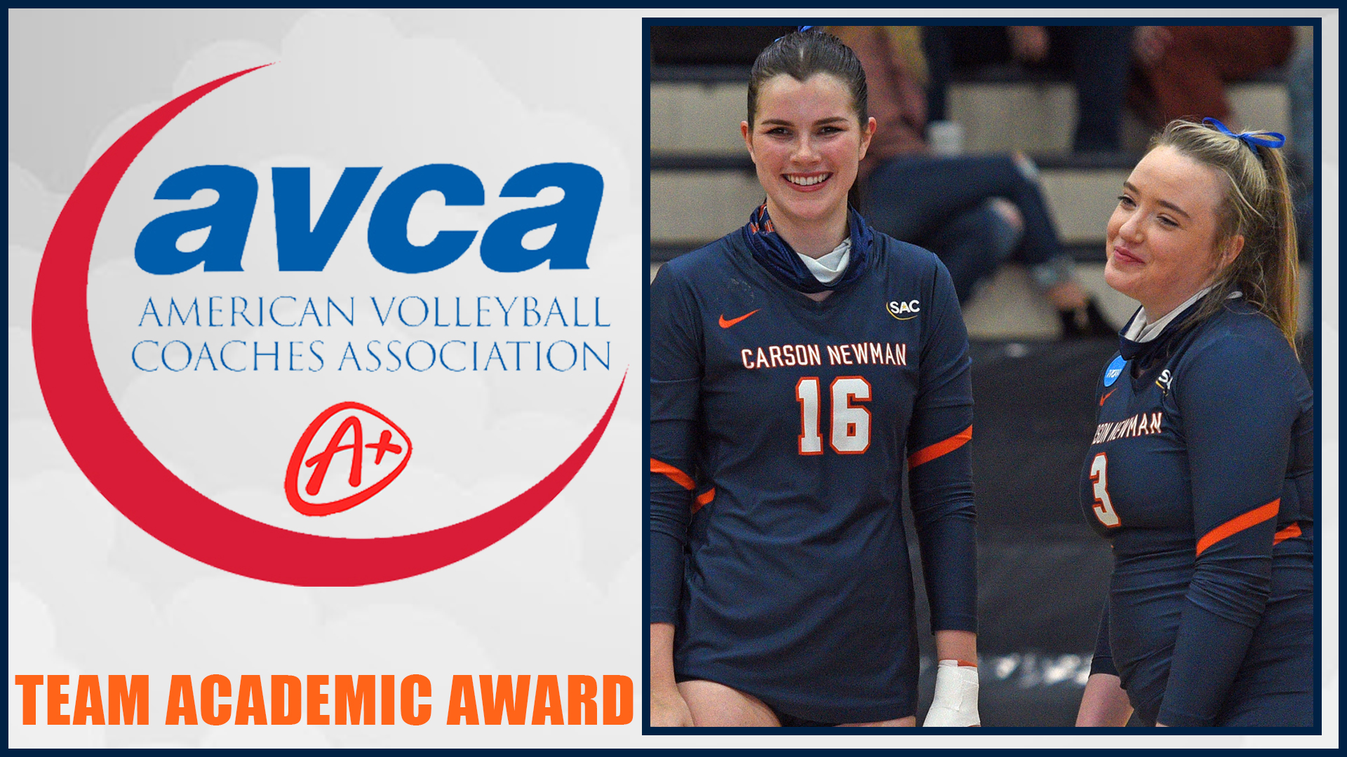 Volleyball snares AVCA Team Academic Award