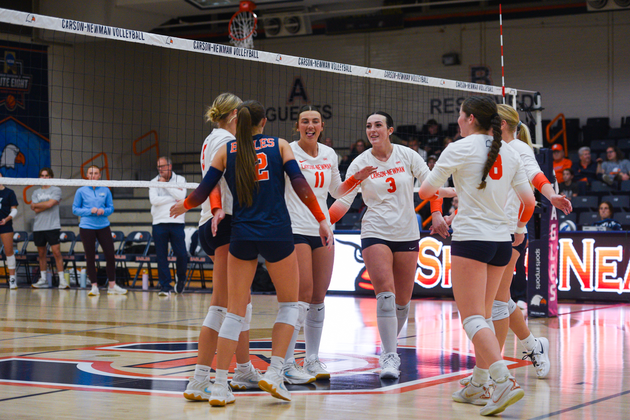 Big block and sharp shooting sails volleyball past LMU